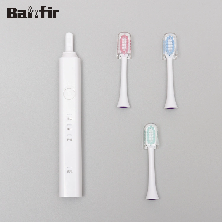 OEM Adult Waterproof Ipx7 Rechargeable Sonic Electric Toothbrush Beauty and Personal Care Travel Use