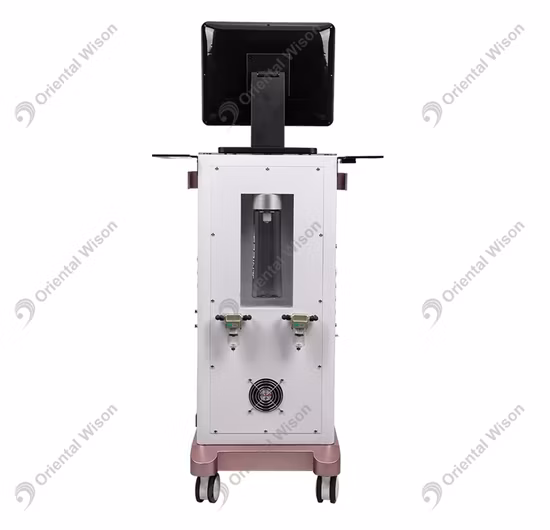 GMPC Factory OEM Novos Produtos Extrato de Limão Tônico Hidratante Profundo Cuidados Faciais Cuidados com a Pele